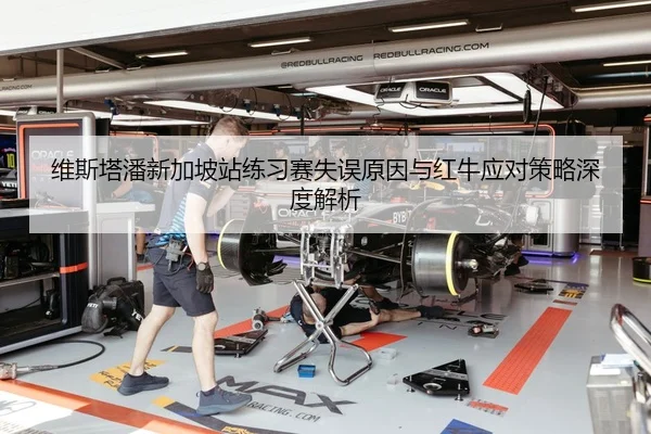 维斯塔潘新加坡站练习赛失误原因与红牛应对策略深度解析